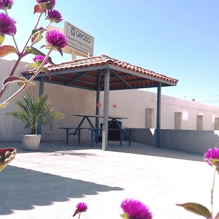 Hotel Hi ! Torreon Aeropuerto-Galerias Exterior photo
